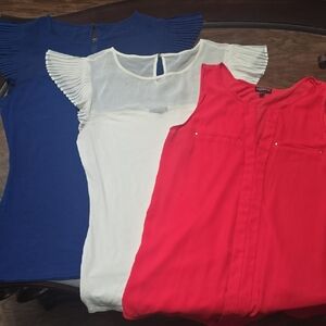 Express Women's Blouse Trio - Blue, Ivory And Salmon